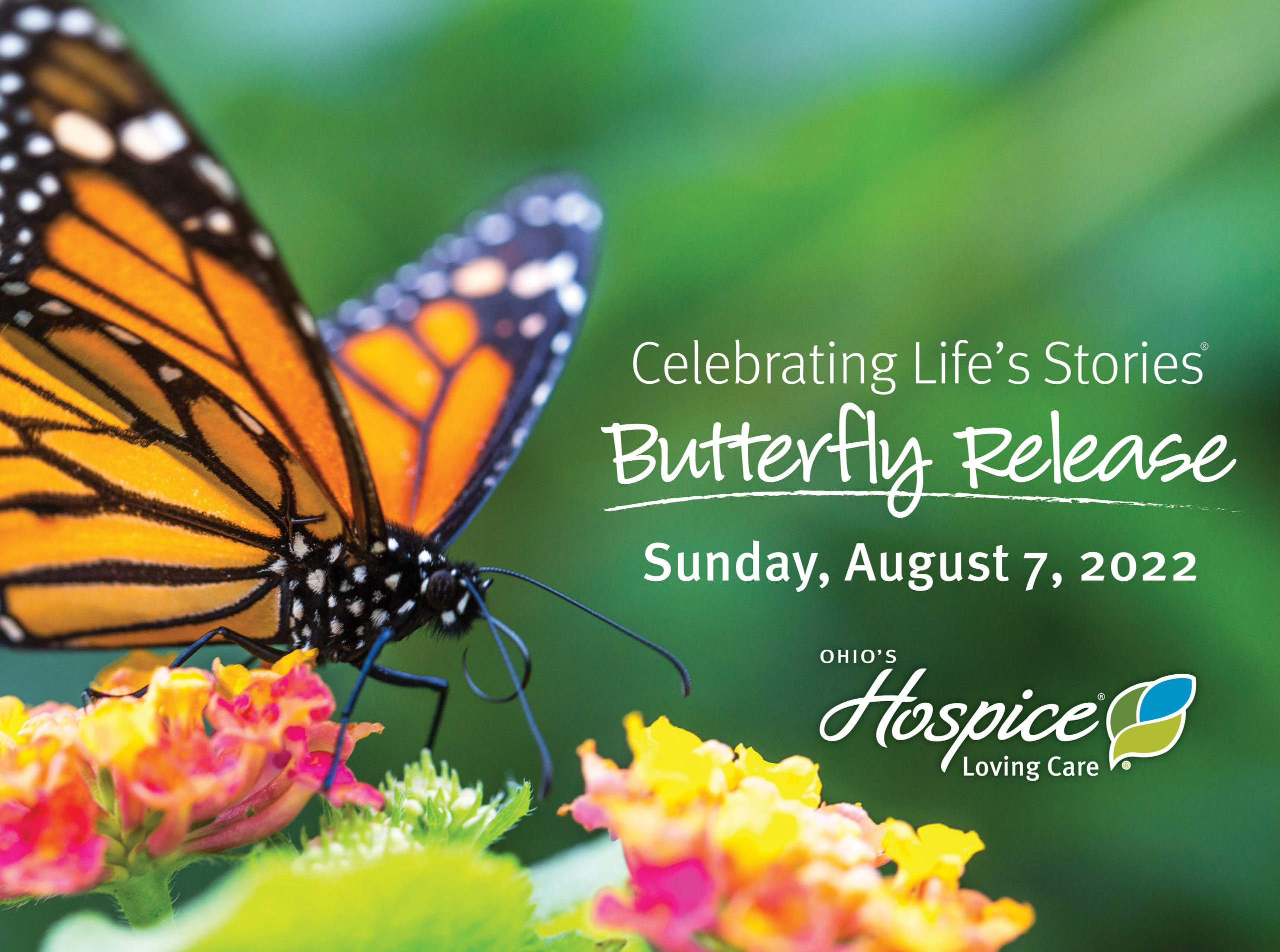 OHLV Celebrating Life's Stories Butterfly Release 2022
