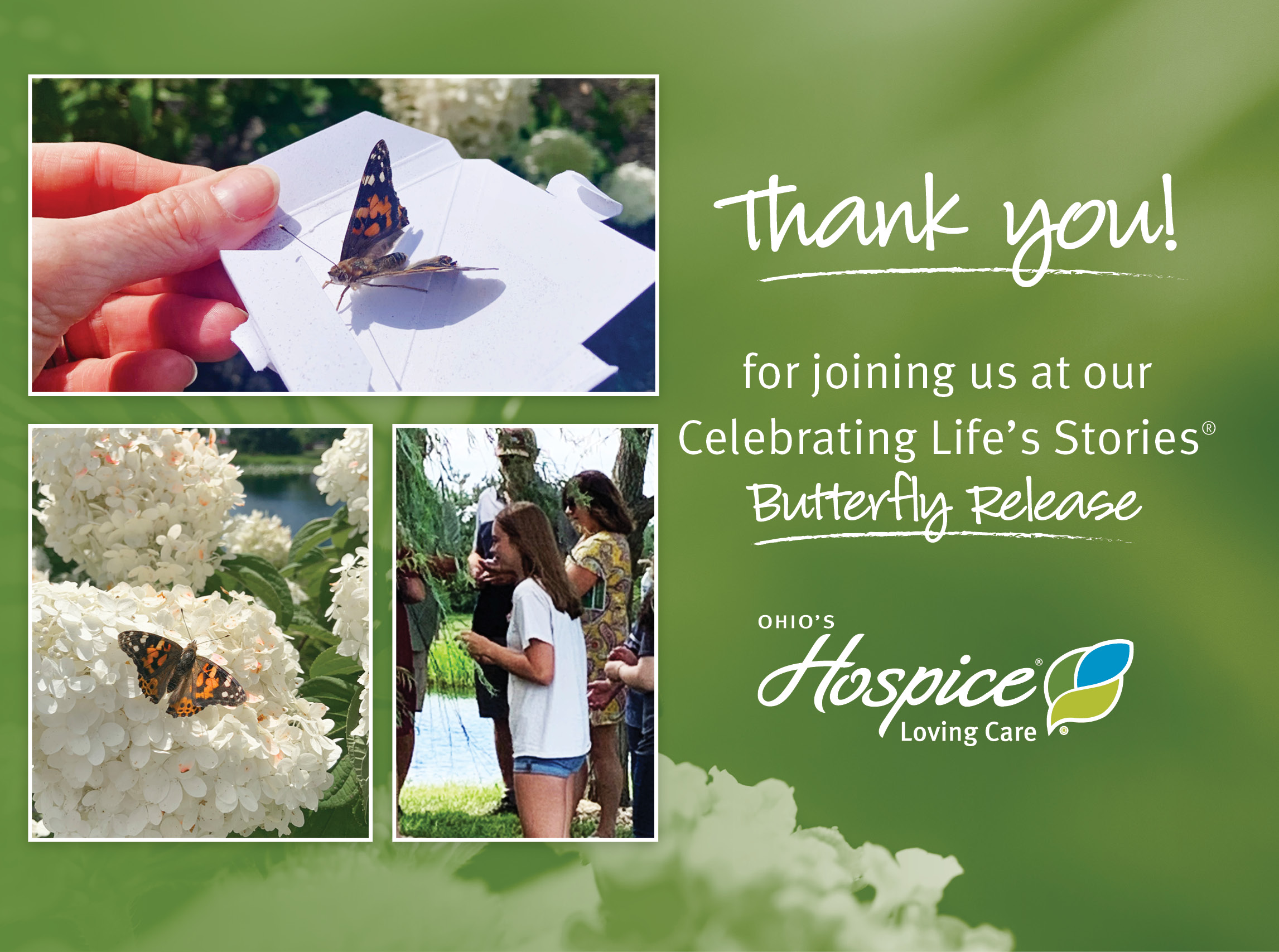 Ohio's Hospice Loving Care Butterfly Release